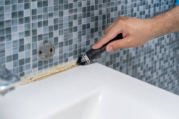 Best Health and Safety Mold Remediation in New Market, AL